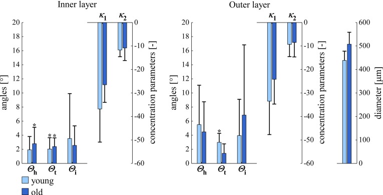 Fig. 10