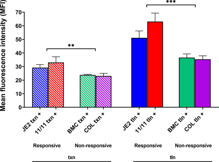 FIG 4