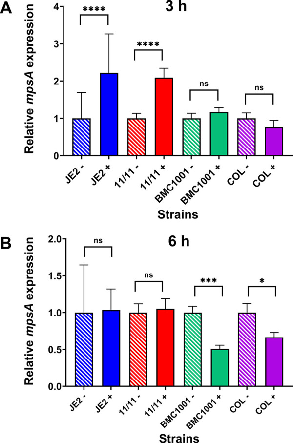 FIG 3