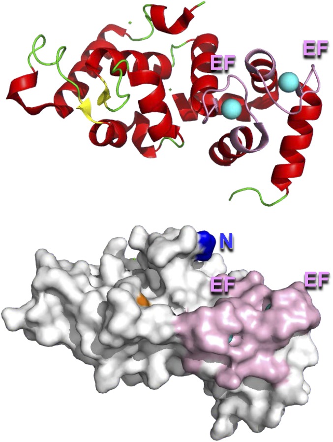 Fig. S4.