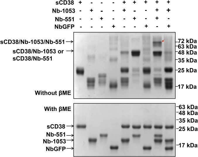 Fig. S1.