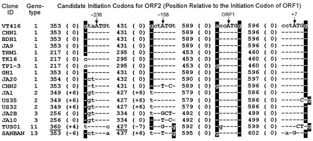 FIG. 7