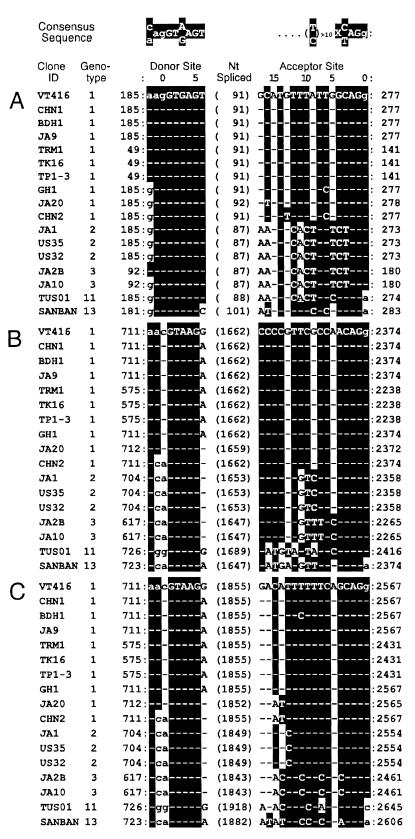 FIG. 6