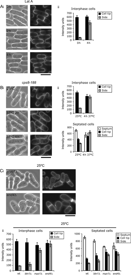 Figure 4: