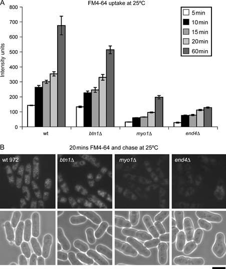 Figure 5: