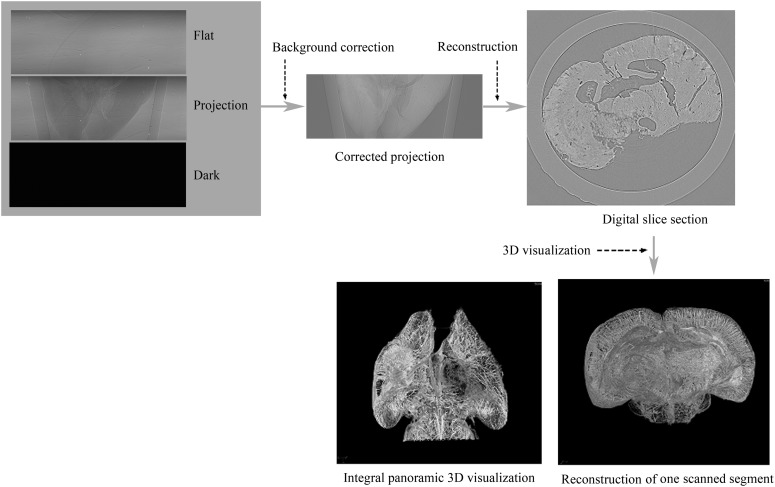 Figure 2.