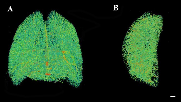 Figure 6.