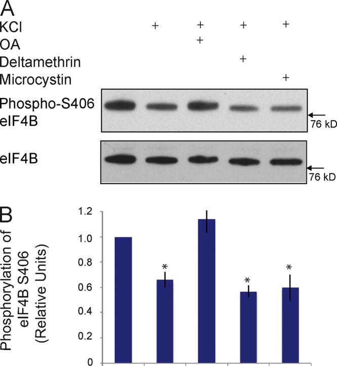 Figure 5.