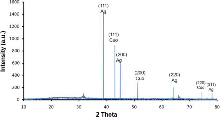 Fig. 3