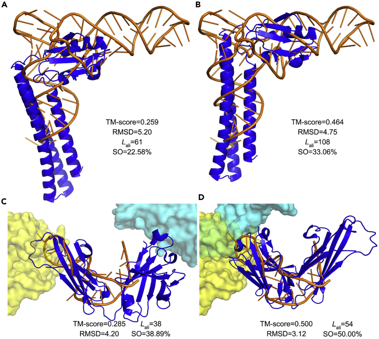 Figure 4