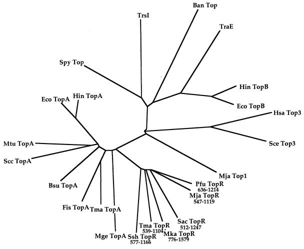 FIG. 5