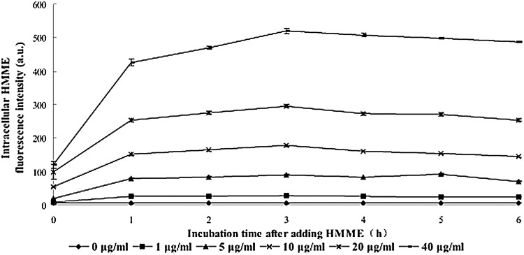 FIG. 1.