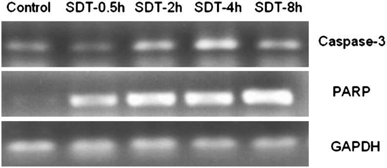 FIG. 11.