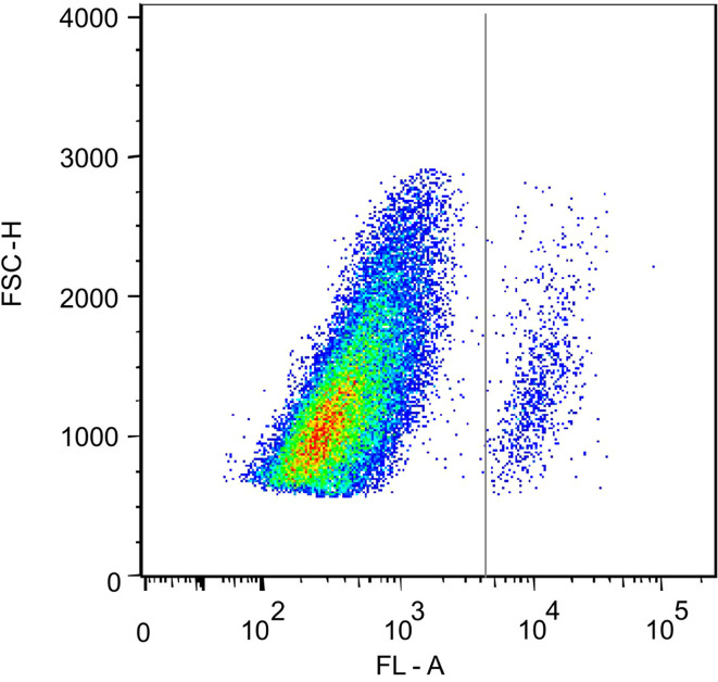 Fig. 2