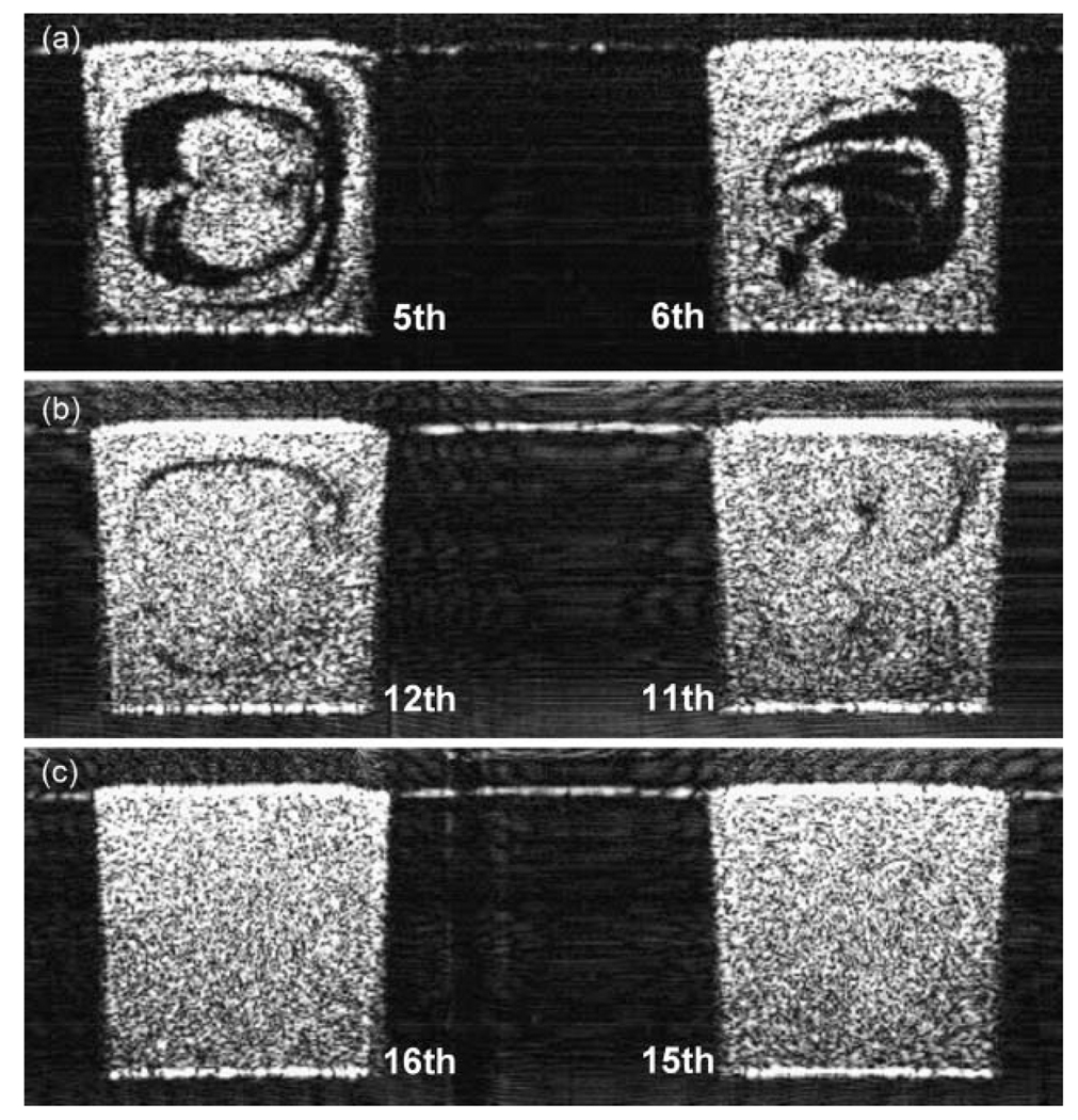 Fig. 7