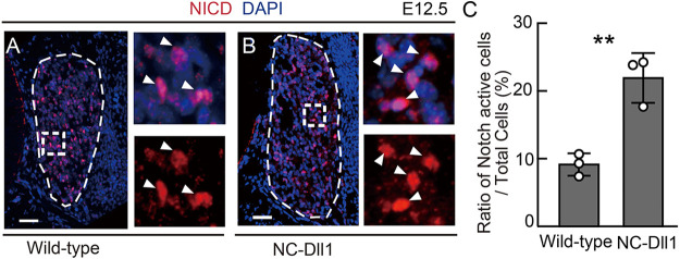 Fig. 7.