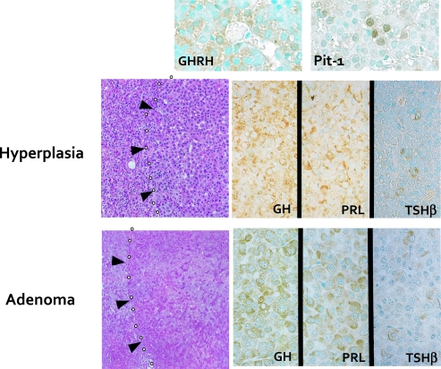 Fig. 7