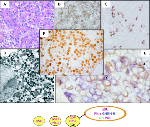 Fig. 4