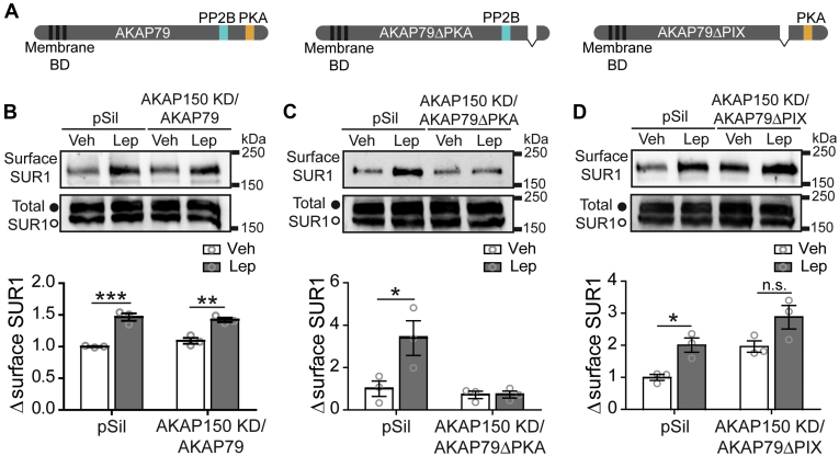 Figure 6