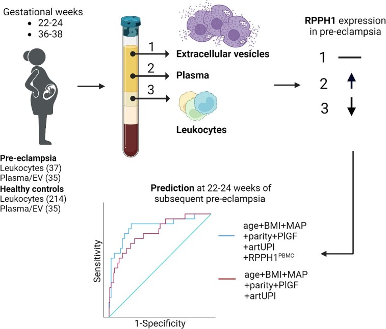 Graphical Abstract