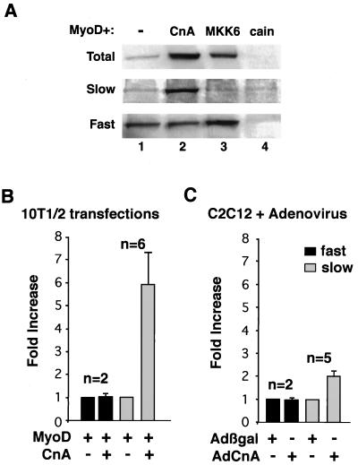 FIG. 8