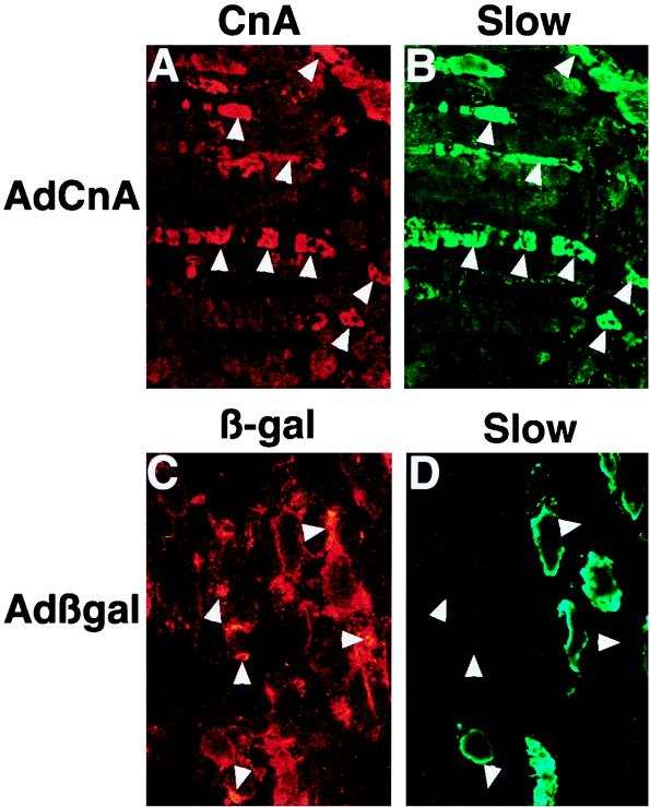 FIG. 9