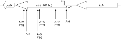 Figure 2.—