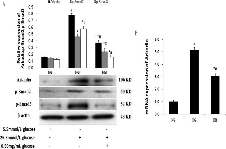 Fig 5