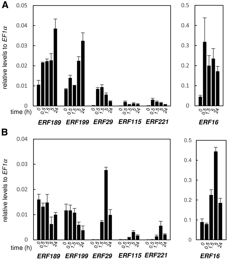 Figure 6.