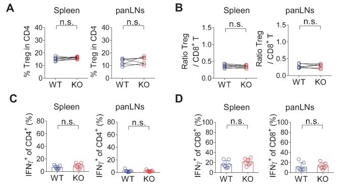 Figure 1—figure supplement 2.