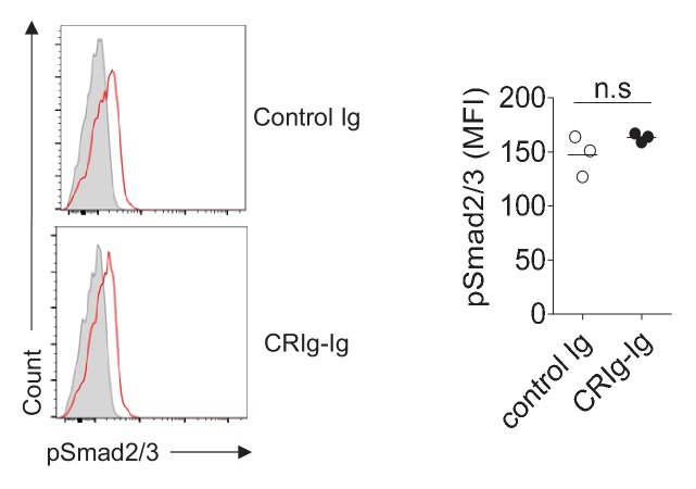 Figure 3—figure supplement 1.