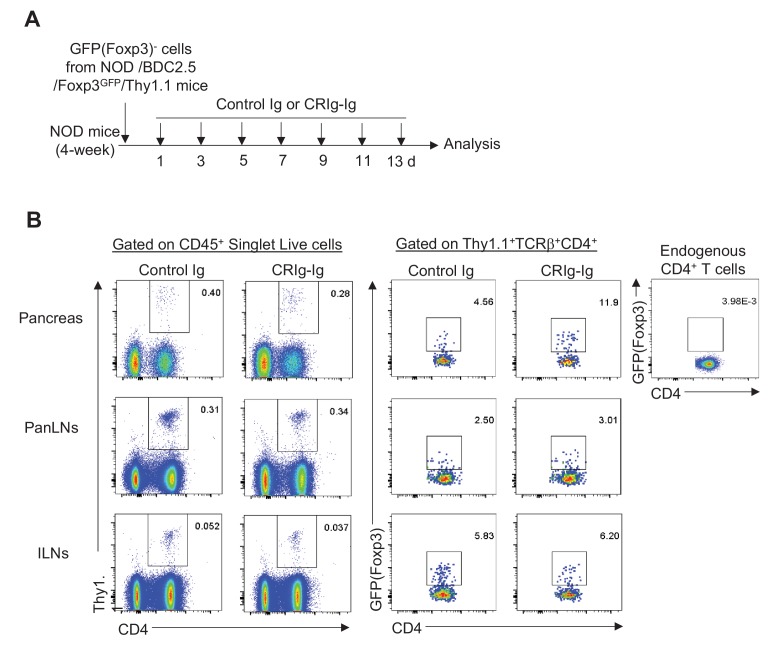 Figure 3—figure supplement 2.