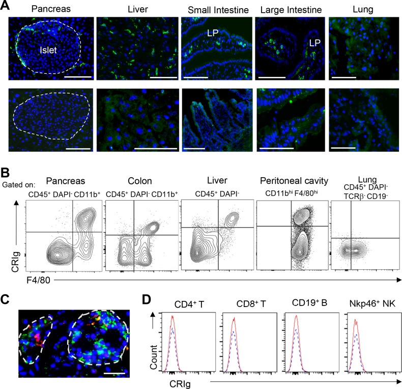 Figure 1—figure supplement 1.