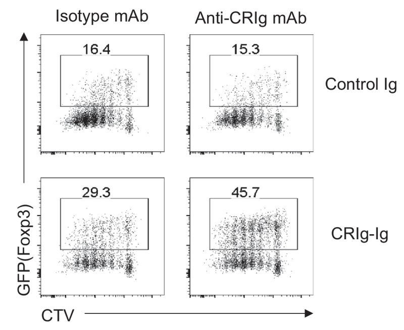 Figure 6—figure supplement 1.