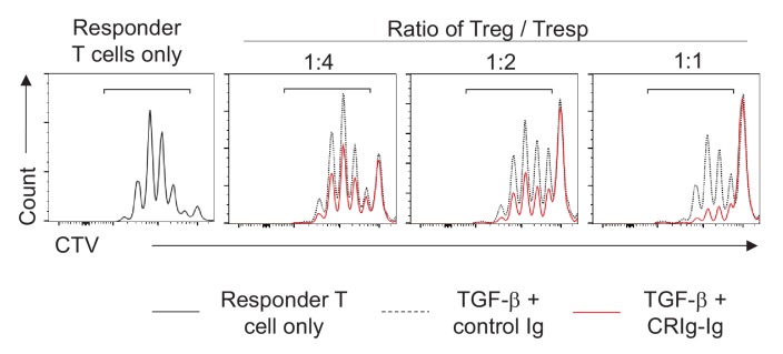 Figure 4—figure supplement 1.