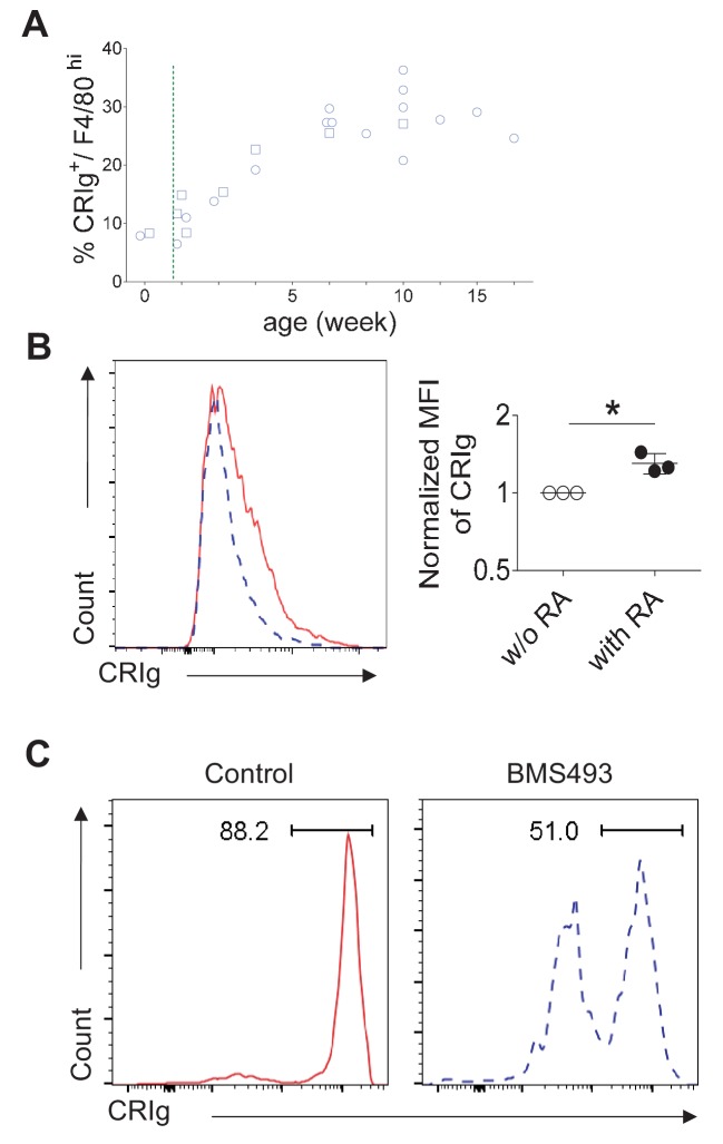 Figure 7—figure supplement 1.