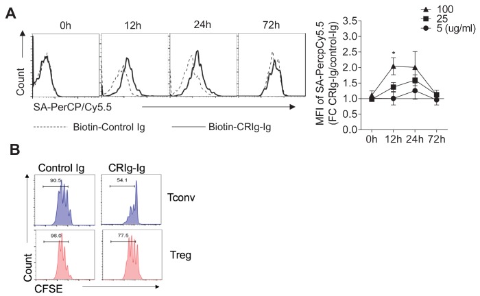 Figure 2—figure supplement 3.