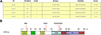 Figure 12