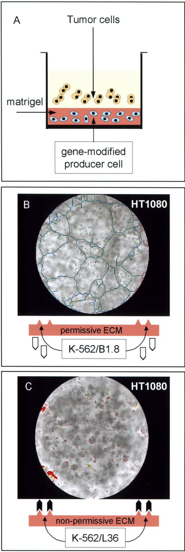 Fig. 3.