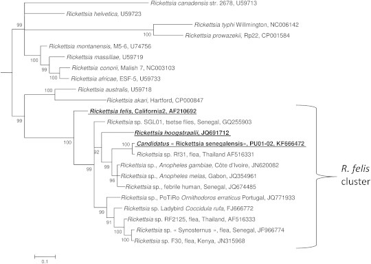 FIG. 2