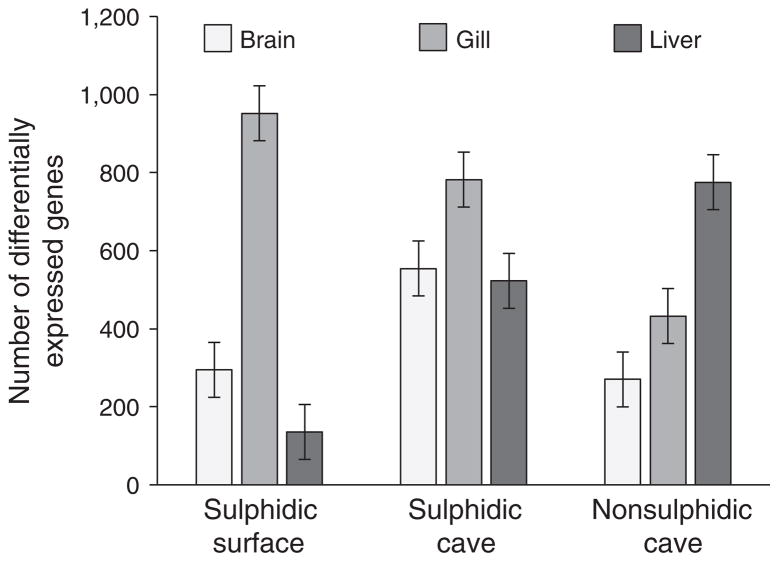 FIGURE 3