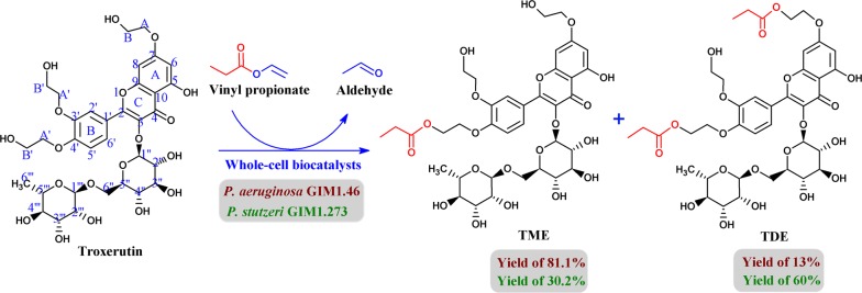 Scheme 1