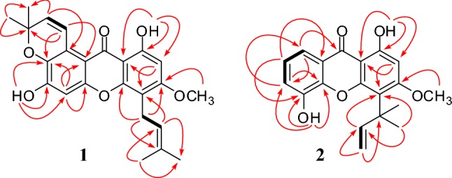 Fig. 2