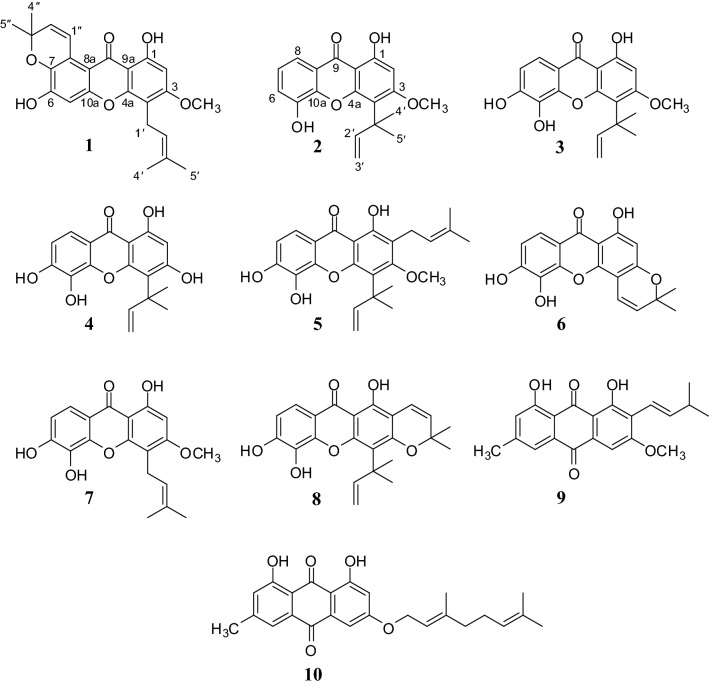 Fig. 1