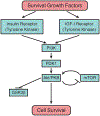 Fig. (8).
