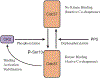Fig. (6).