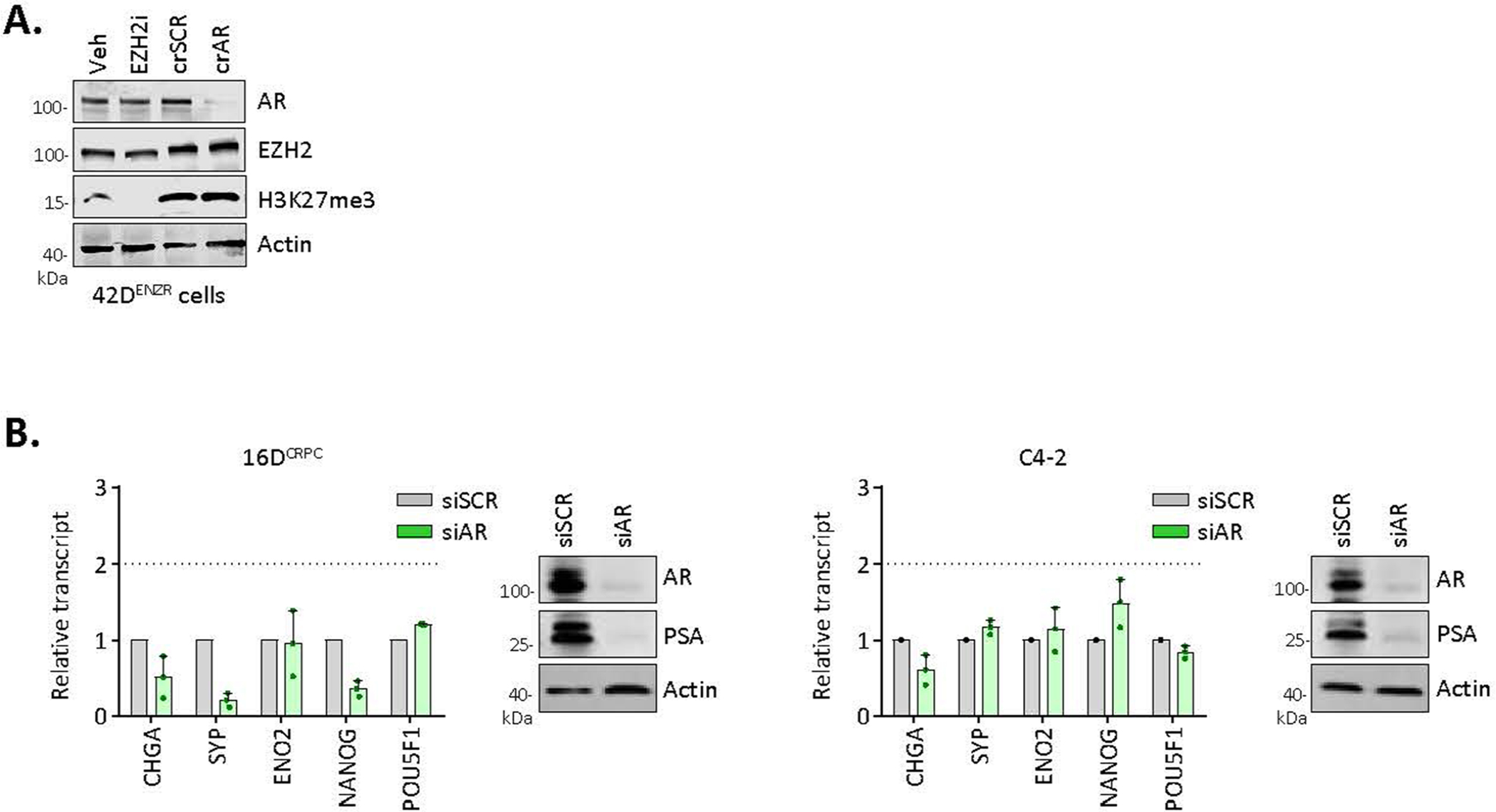 Extended Data Fig. 7 |