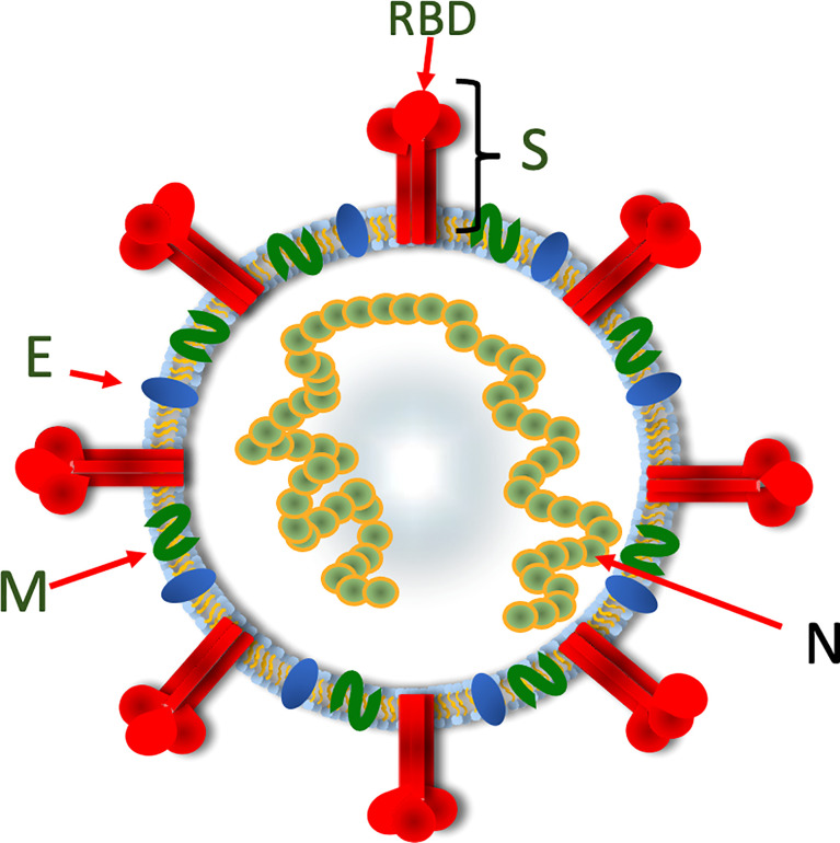 Figure 3