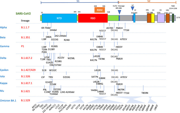 Figure 2