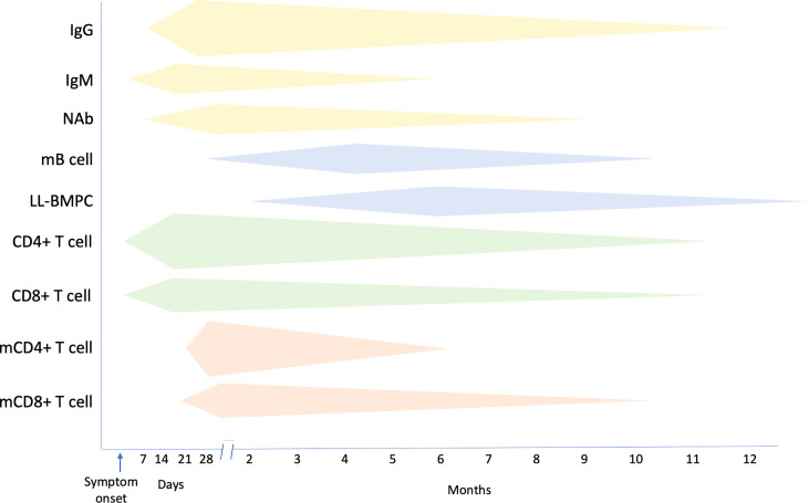 Figure 4